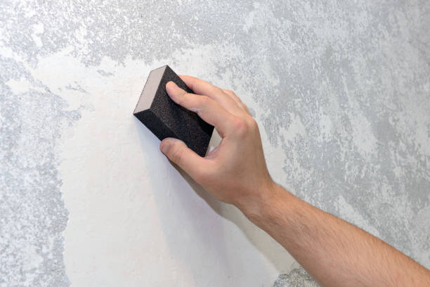 Best Basement Mold Removal  in Dumont, NJ