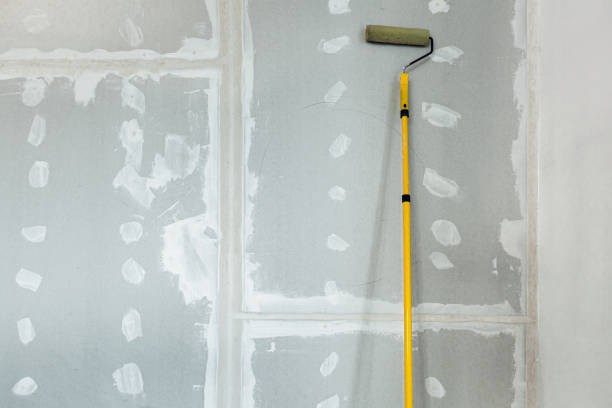 Best Mold Prevention Services  in Dumont, NJ