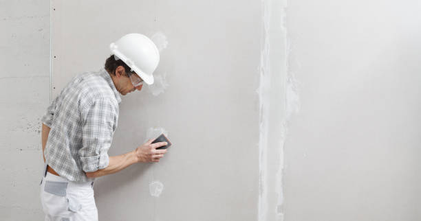 Best Emergency Mold Remediation  in Dumont, NJ